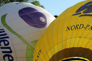Lutte contre les nuisibles Villeneuve-d'Ascq