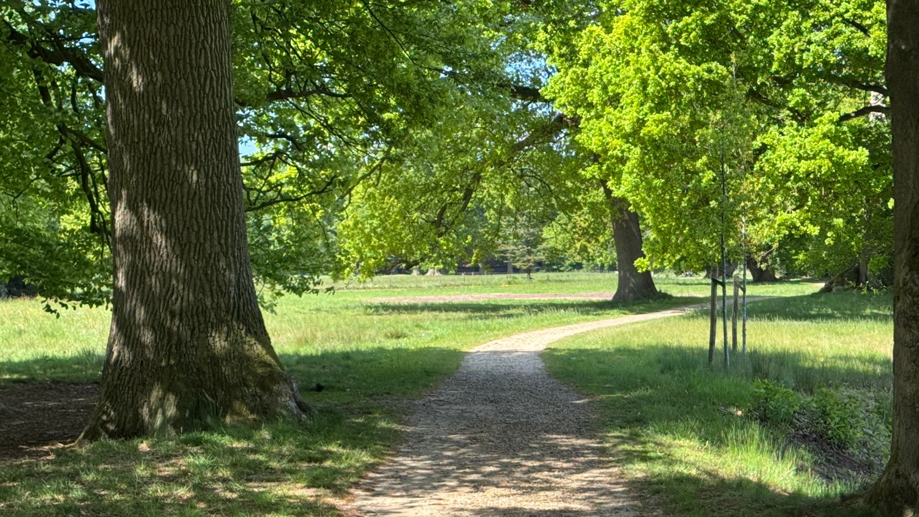 Lutte contre les nuisibles à Villeneuve-d'Ascq